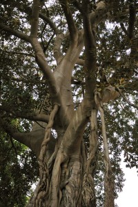 Villa del Belvedere di Monreale