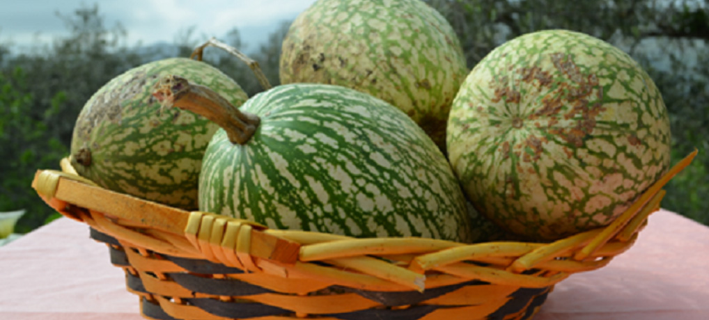 Zucca Virmiciddara di Monreale