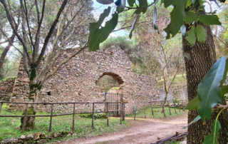 Foto Neviere di San Martino delle Scale