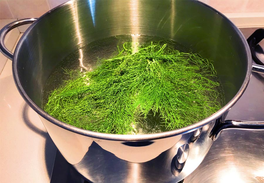 Pasta con le sarde - Step 1